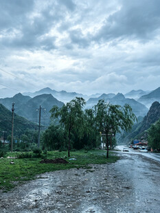 雨后山间湿路与葱郁景致