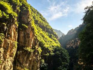 壮丽峡谷间的翠绿山景