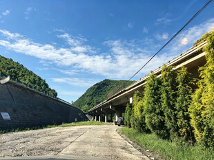 山间公路景色