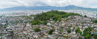 城市全景中的绿地景观
