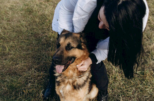 女子亲昵抚摸可爱德国牧羊犬