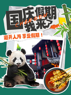 国庆假期美食与萌宠相伴
