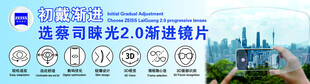 城市天际线旁的蓝色摩天轮