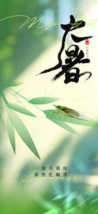 大暑时节 竹叶摇曳