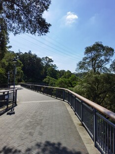 公园中的宁静步道