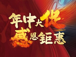 年中大促