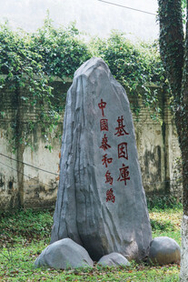 校园励志石刻景观