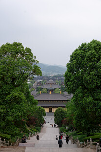 古景林荫道