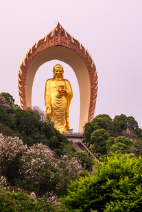 山中宏伟金色佛像景观