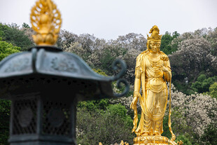 金色观音像与古朴灯台