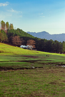 乡村绿野风光美景