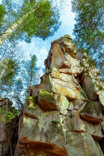 嶙峋怪石与葱郁树木景观
