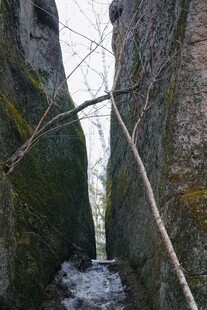 狭窄石缝间的冬日景象