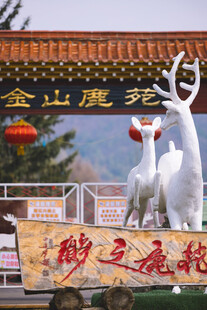 金山鹿苑入口景观