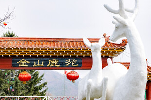 驼鹿雕像前的金山鹿苑