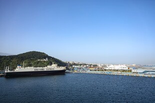 海滨码头船只