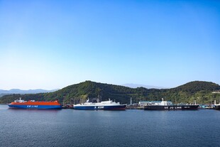 海港风光
