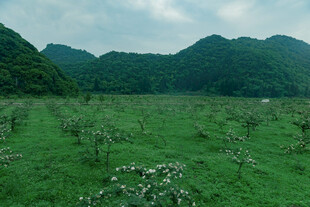 绿野青山间的自然美景