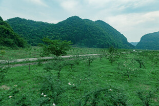 绿野青山间的田园风光