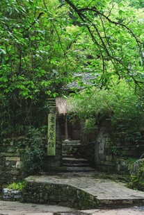 幽径林间