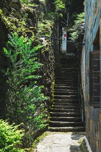 山间幽静石阶小道