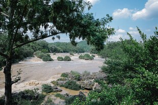山间河流与葱郁树木景观