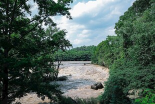 林间河流风景