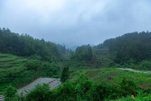 山间绿野风光