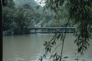 河畔垂柳下的古朴小桥