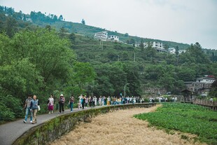 山间步道上的人群漫步