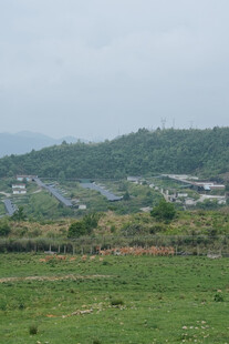 乡村绿野风光