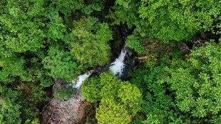 山林间的潺潺溪流