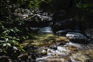山间溪流潺潺