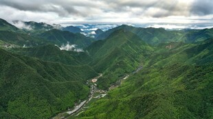 青山绿水间的蜿蜒道路