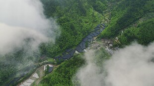 云雾缭绕的山谷美景