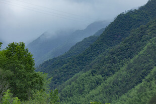 青山云雾间的自然美景