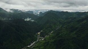 山间云雾缭绕的翠绿景致