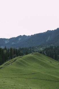 翠绿山丘间的自然美景