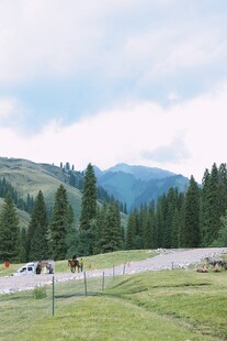 山间公路旁的开阔草地