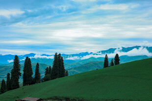 草原青山与远处雪山美景