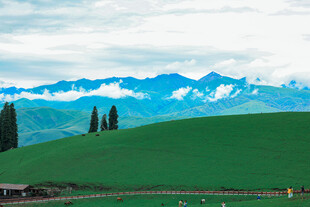 草原青山美景如画