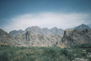 壮丽山景与葱郁草地
