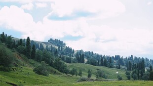 山间绿野风景
