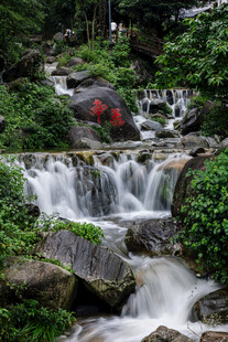 山间溪流瀑布绿植景观