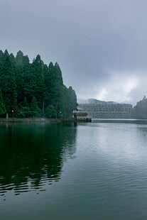 宁静湖畔森林景观