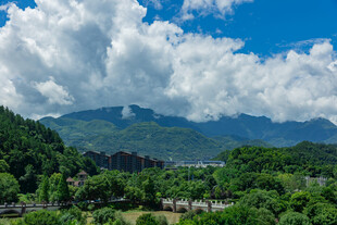 青山云海下的翠绿景致