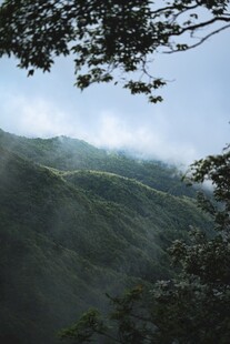山间绿意浓景