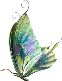 梦幻彩色蝴蝶插画
