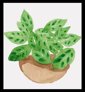 盆栽绿植插画