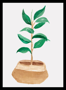 盆栽绿植插画